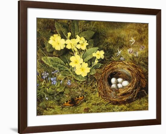 Primroses with a Bird's Nest-H. Barnard Grey-Framed Giclee Print