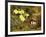 Primroses with a Bird's Nest-H. Barnard Grey-Framed Giclee Print