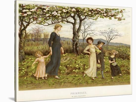 Primroses-Kate Greenaway-Stretched Canvas