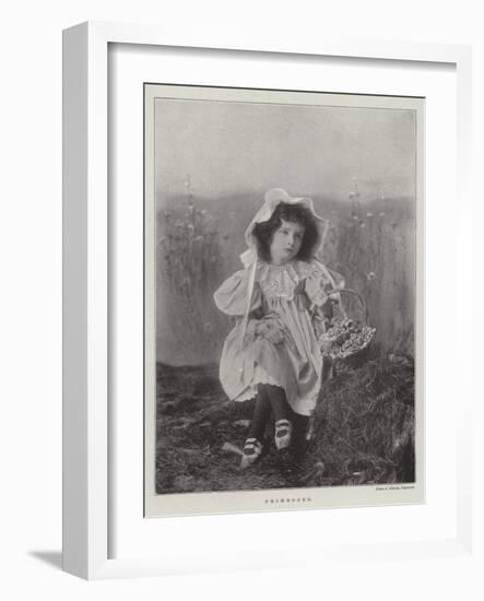 Primroses-null-Framed Giclee Print