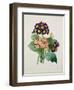 Primula Auricula, Engraved by Victor, from 'Choix Des Plus Belles Fleurs', 1827-Pierre-Joseph Redouté-Framed Giclee Print