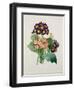 Primula Auricula, Engraved by Victor, from 'Choix Des Plus Belles Fleurs', 1827-Pierre-Joseph Redouté-Framed Giclee Print