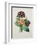 Primula Auricula, Engraved by Victor, from 'Choix Des Plus Belles Fleurs', 1827-Pierre-Joseph Redouté-Framed Giclee Print