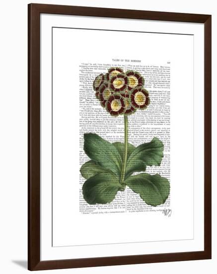 Primula Auricula Red-Fab Funky-Framed Art Print