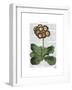 Primula Auricula Red-Fab Funky-Framed Art Print