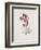 Primula Auricula-Sarah Creswell-Framed Giclee Print