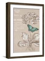 Primula-Chad Barrett-Framed Art Print