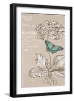 Primula-Chad Barrett-Framed Art Print