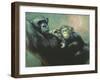 Primulas-Juan Camana-Framed Giclee Print