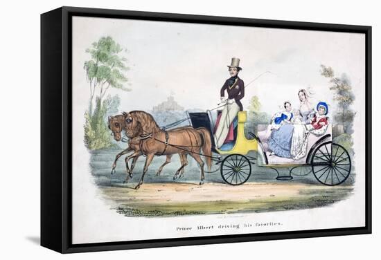 Prince Albert Acting as Chauffeur to the British Royal Family-null-Framed Stretched Canvas