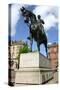 Prince Albert Statue, Wolverhampton, West Midlands-Peter Thompson-Stretched Canvas