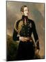 Prince Albert, the Prince Consort (1819-61)-Franz Xaver Winterhalter-Mounted Giclee Print