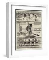 Prince Albert Victor at Cambridge University-null-Framed Giclee Print