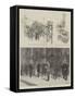 Prince Albert Victor Edward of Wales in the Sheffield-null-Framed Stretched Canvas