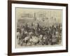 Prince Alfred in South Australia-null-Framed Giclee Print