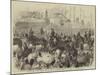 Prince Alfred in South Australia-null-Mounted Giclee Print