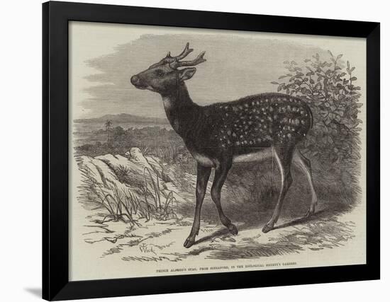 Prince Alfred's Stag, from Singapore, in the Zoological Society's Gardens-Thomas W. Wood-Framed Giclee Print