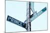 Prince and Mulberry Street Signs, Little Italy, New York City-Sabine Jacobs-Mounted Photographic Print