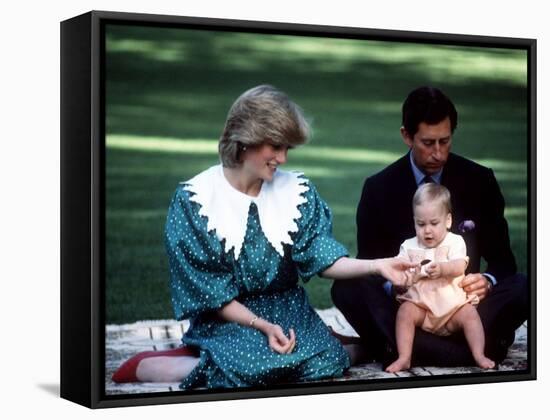 Prince and Princess of Wales with William in New Zealand, April 1983-null-Framed Stretched Canvas