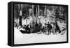 Prince Arthur's Moose Hunting Expedition in Canada, C.1870-English Photographer-Framed Stretched Canvas