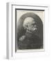 Prince Bismarck, Late Prussian Minister of Foreign Affairs, and Chancellor of the German Empire-null-Framed Giclee Print