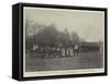 Prince Bismarck's Eightieth Birthday-null-Framed Stretched Canvas