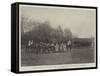 Prince Bismarck's Eightieth Birthday-null-Framed Stretched Canvas