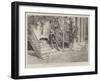 Prince Bismarck's Favourite Seat at Varzin-null-Framed Giclee Print