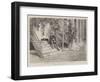 Prince Bismarck's Favourite Seat at Varzin-null-Framed Giclee Print