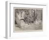 Prince Bismarck's Favourite Seat at Varzin-null-Framed Giclee Print