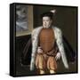 Prince Carlos, 1555-1559-Alonso Sanchez Coello-Framed Stretched Canvas