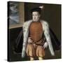 Prince Carlos, 1555-1559-Alonso Sanchez Coello-Stretched Canvas