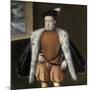 Prince Carlos, 1555-1559-Alonso Sanchez Coello-Mounted Giclee Print