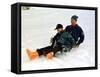 Prince Charles on a Sledge with Prince Harry While on Holiday in Klosters Switzerland January 1997-null-Framed Stretched Canvas