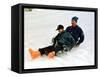 Prince Charles on a Sledge with Prince Harry While on Holiday in Klosters Switzerland January 1997-null-Framed Stretched Canvas