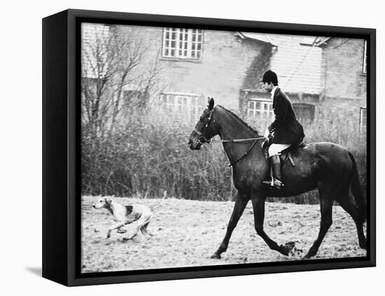 Prince Charles Prince of Wales Going Hunting on His Horse with His Dog March 1981-null-Framed Stretched Canvas
