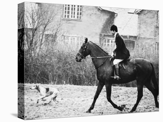 Prince Charles Prince of Wales Going Hunting on His Horse with His Dog March 1981-null-Stretched Canvas