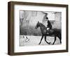 Prince Charles Prince of Wales Going Hunting on His Horse with His Dog March 1981-null-Framed Photographic Print