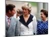 Prince Charles, Princess Diana and Queen Elizabeth Outside Clarence House For Queen's 87th Birthday-null-Mounted Photographic Print