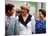 Prince Charles, Princess Diana and Queen Elizabeth Outside Clarence House For Queen's 87th Birthday-null-Mounted Photographic Print