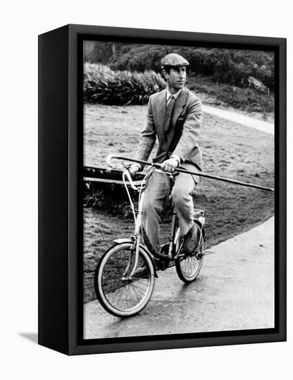 Prince Charles Riding Bike November 1983-null-Framed Stretched Canvas