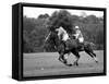 Prince Charles, Windsor Polo. June 1977-null-Framed Stretched Canvas