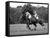 Prince Charles, Windsor Polo. June 1977-null-Framed Stretched Canvas