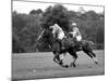 Prince Charles, Windsor Polo. June 1977-null-Mounted Photographic Print