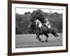 Prince Charles, Windsor Polo. June 1977-null-Framed Photographic Print