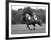 Prince Charles, Windsor Polo. June 1977-null-Framed Photographic Print