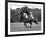 Prince Charles, Windsor Polo. June 1977-null-Framed Photographic Print