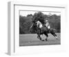 Prince Charles, Windsor Polo. June 1977-null-Framed Photographic Print