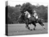 Prince Charles, Windsor Polo. June 1977-null-Stretched Canvas