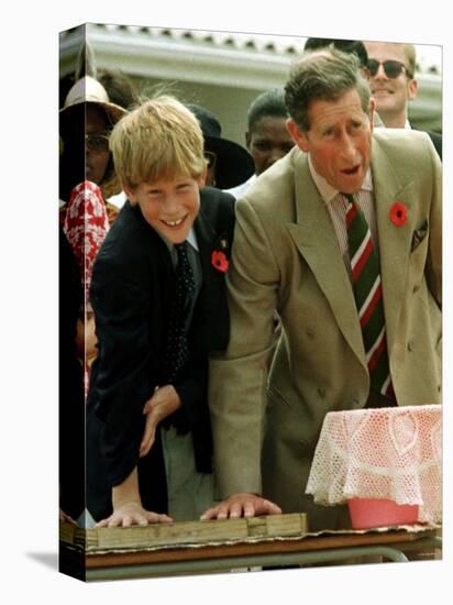 Prince Charles with Son Prince Harry Leaving Hand Prints in Concrete During Tour in South Africa-null-Stretched Canvas